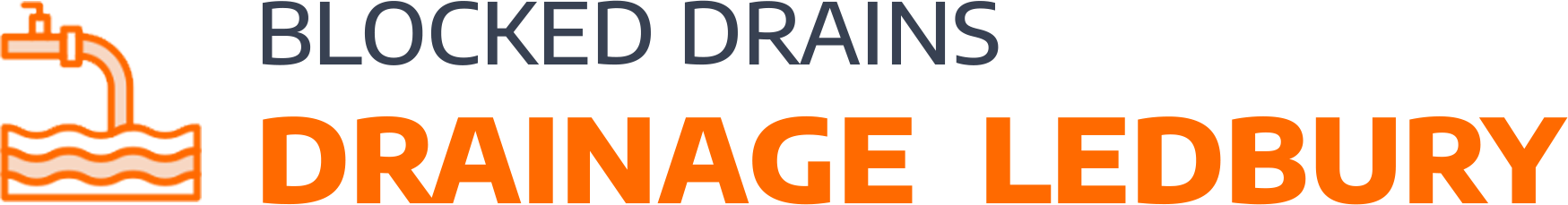 website logo